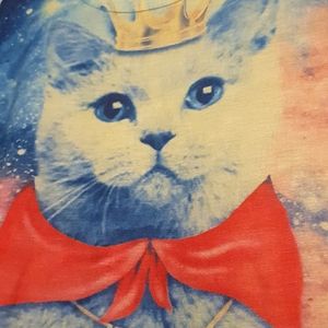 Graphic tee- cat
